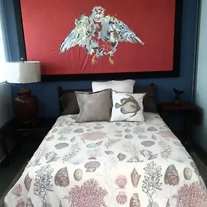https://isla-verde-by-the-beach-guest-house.sanjuanpuertorico-hotels.com